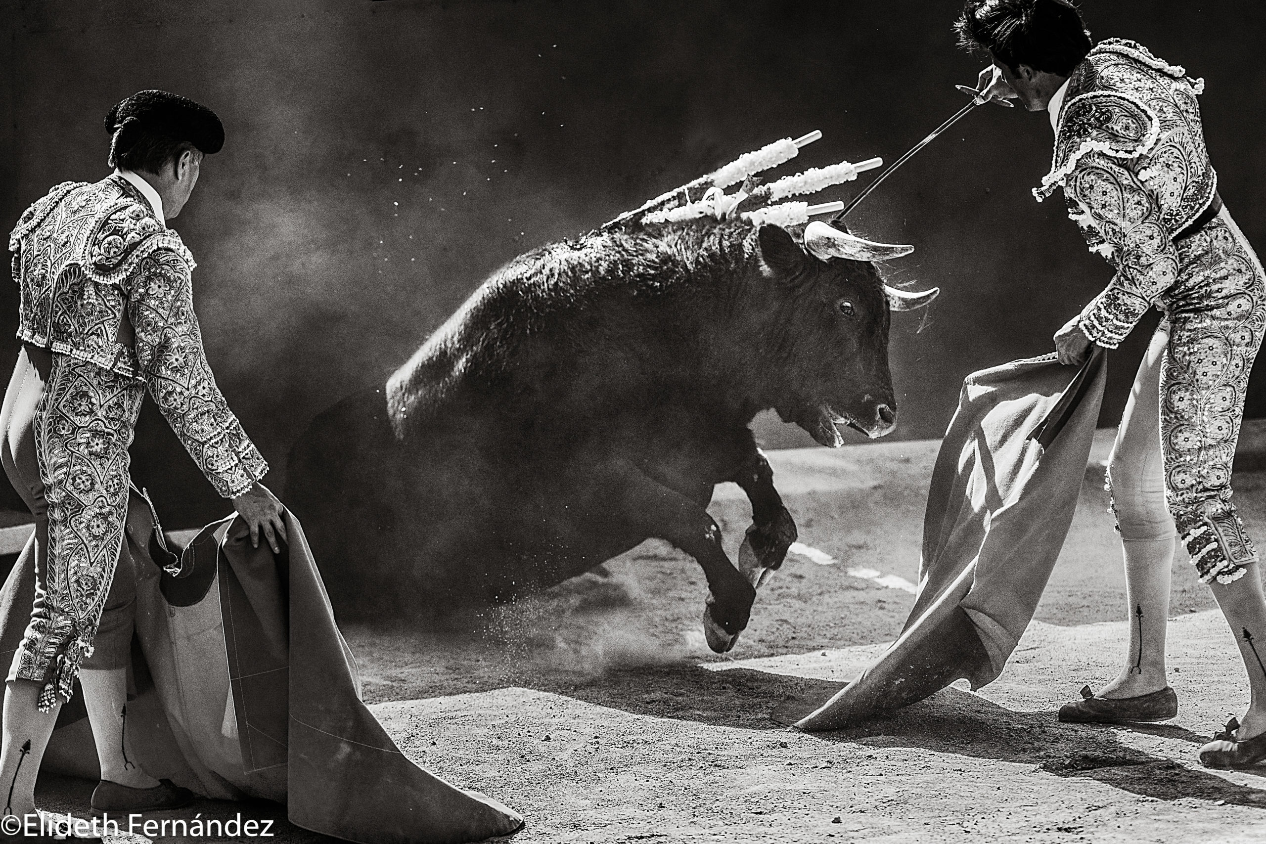 Agarrar El Toro Por Los Cuernos